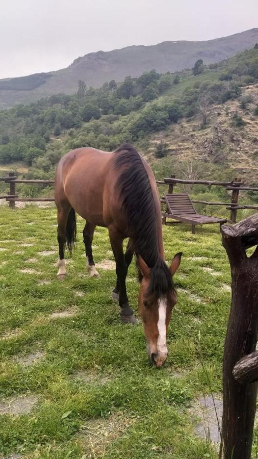 Casa Rural Cortijo Molino Altero Trevélez المظهر الخارجي الصورة