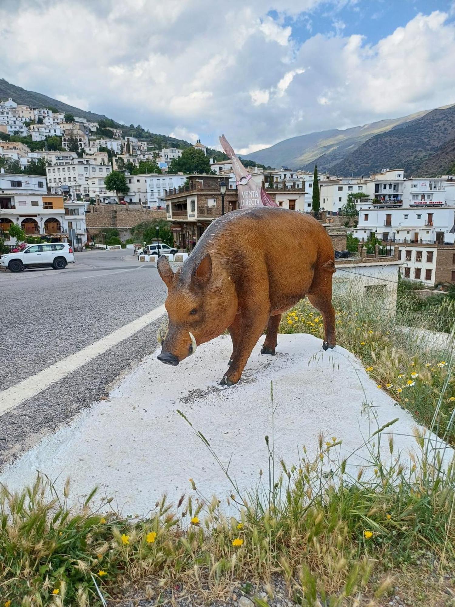 Casa Rural Cortijo Molino Altero Trevélez المظهر الخارجي الصورة