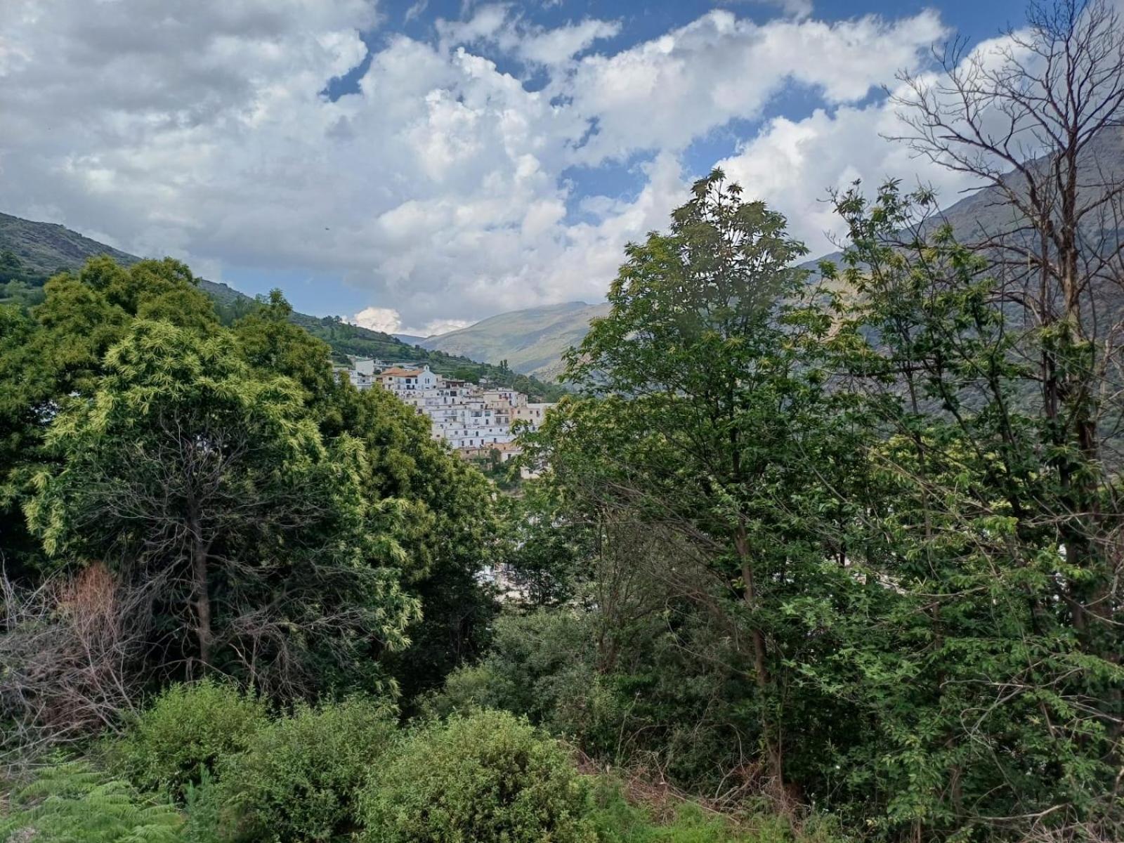 Casa Rural Cortijo Molino Altero Trevélez المظهر الخارجي الصورة