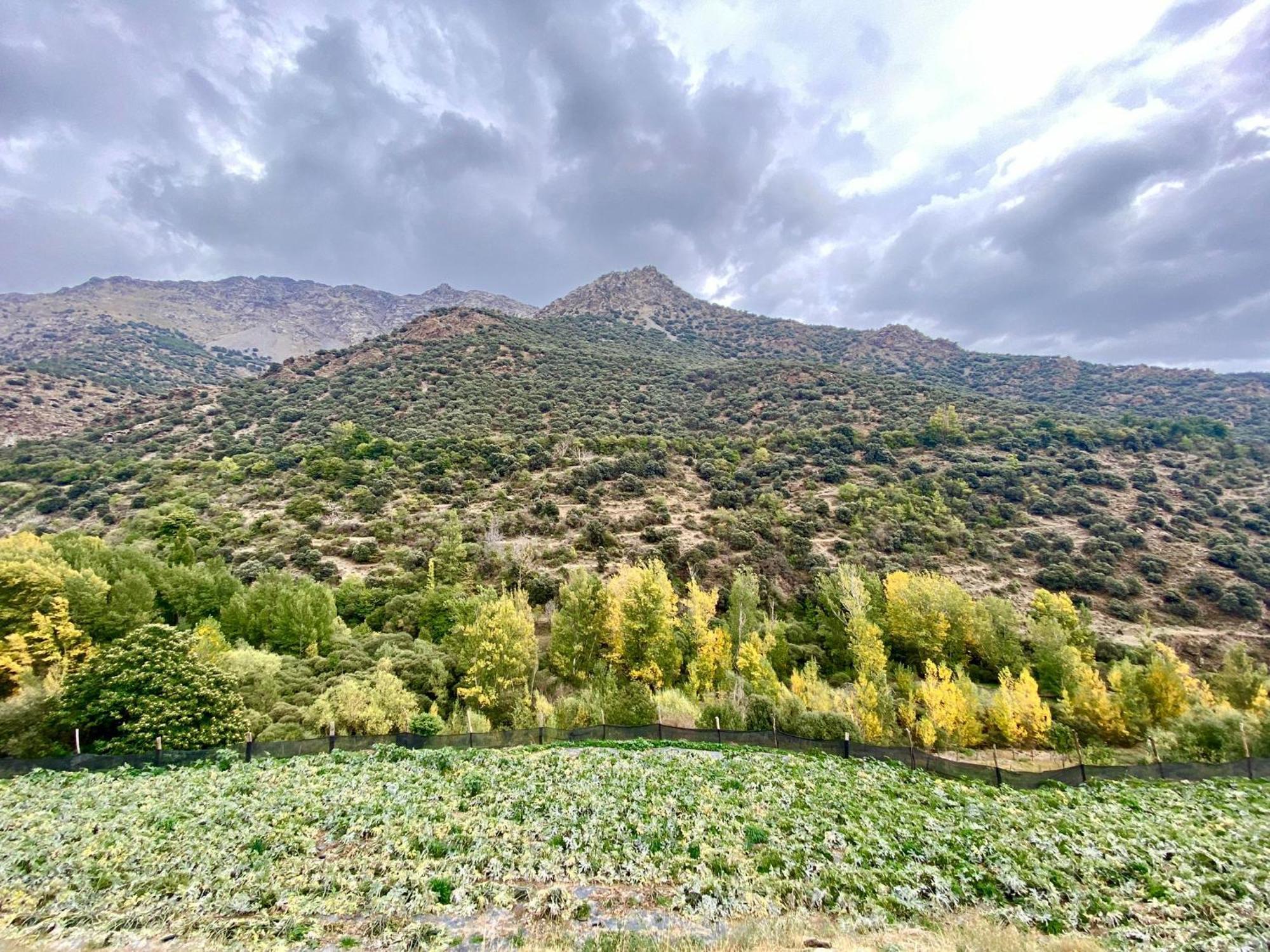 Casa Rural Cortijo Molino Altero Trevélez المظهر الخارجي الصورة